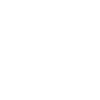 LG LG