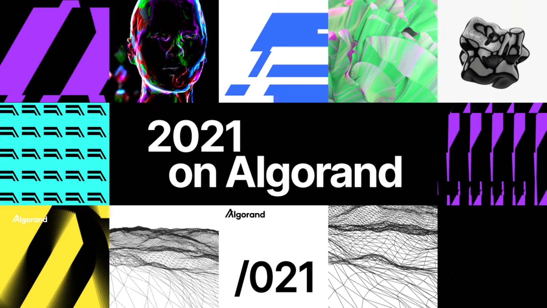 Algorand Miami Accelrator - WASD | Agencia de Marketing Digital