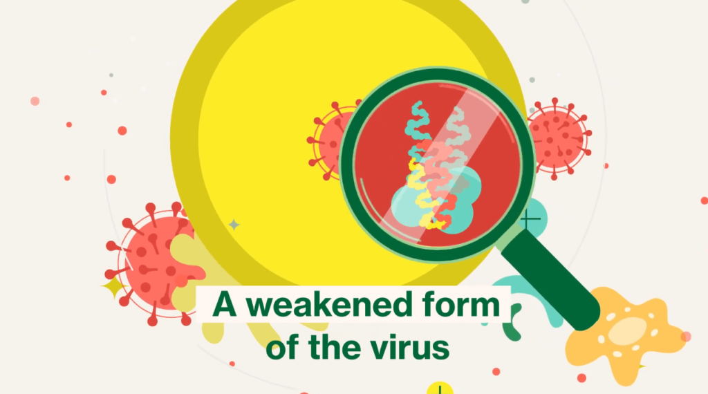 san francisco department of public health Video motion graphics video explainer Covid san francisco department of public health Video motion graphics video explainer Covid