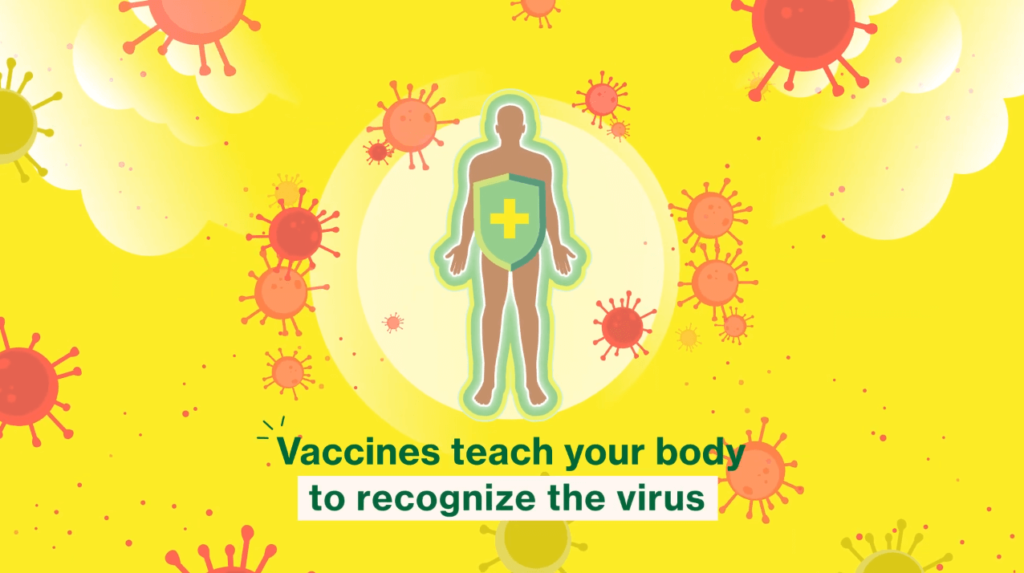 san francisco department of public health Video motion graphics video explainer Covid san francisco department of public health Video motion graphics video explainer Covid