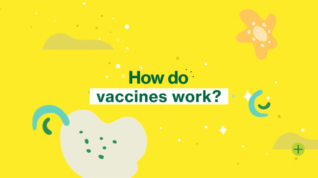 san francisco department of public health Video motion graphics video explainer Covid san francisco department of public health Video motion graphics video explainer Covid