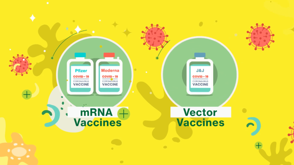 san francisco department of public health Video motion graphics video explainer Covid san francisco department of public health Video motion graphics video explainer Covid