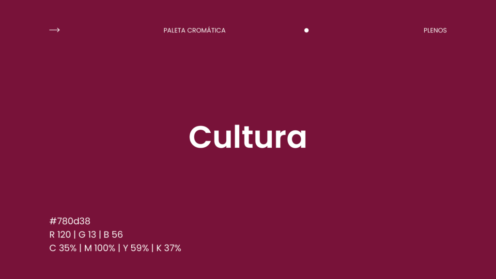 Compass Video branding Compass Video branding