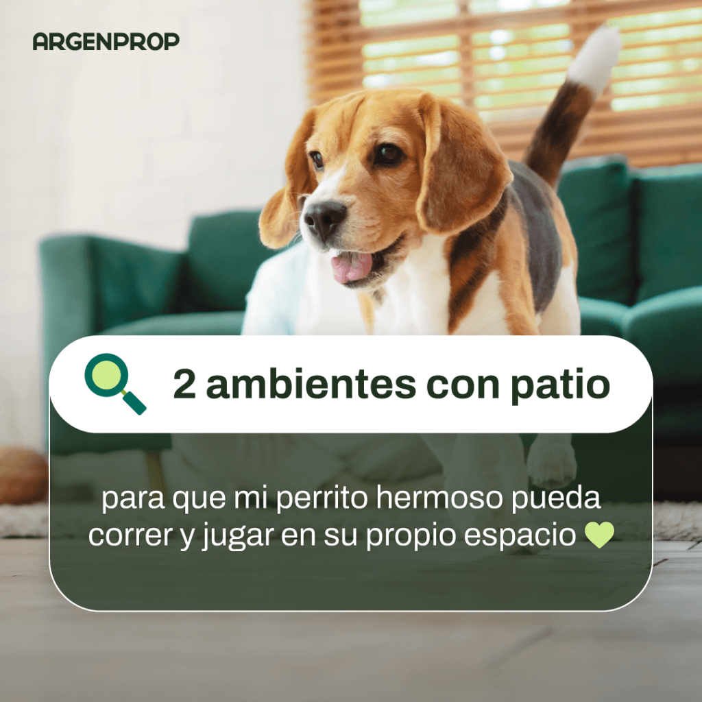 ARG06_POST_BusquedaPerrito_RX_V2 (1) Contenido para redes sociales especificamente Instagram y Facebook para la marca Argenprop