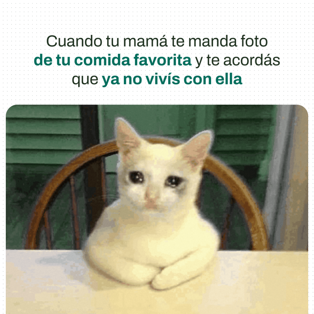 ARG10_POST_MemeComidaMama_RM_V2 (1) Contenido para redes sociales especificamente Instagram y Facebook para la marca Argenprop