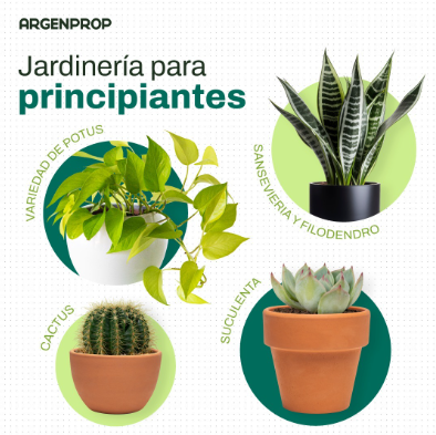 argen post Contenido para redes sociales especificamente Instagram y Facebook para la marca Argenprop