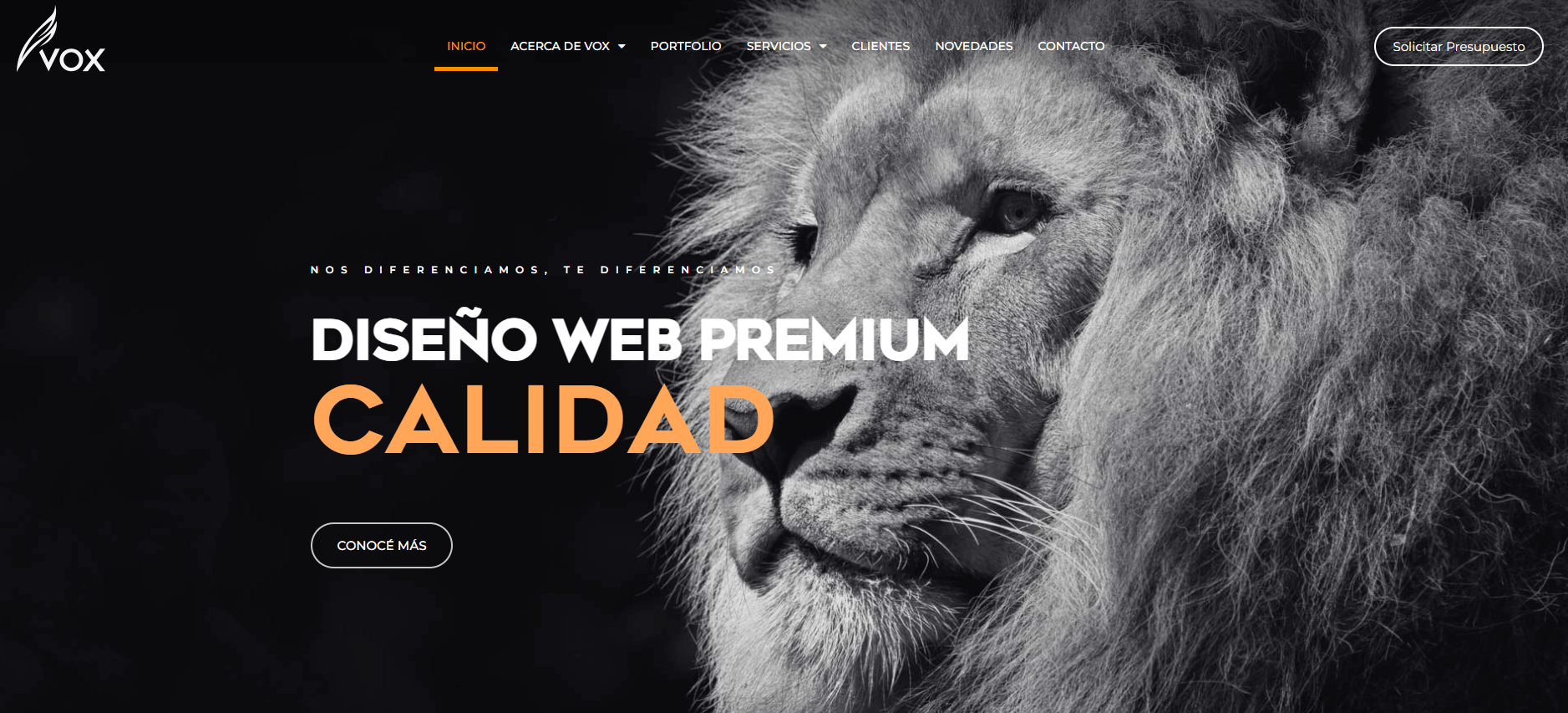 VOX Diseño Web – Soluciones Digitales de Alto Impacto