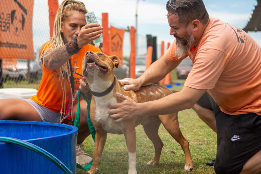 Refugio Campito charla al día de visita en Buenos Aires - Cobertura de eventos ONGs Refugio Campito charla al día de visita en Buenos Aires - Cobertura de eventos ONGs