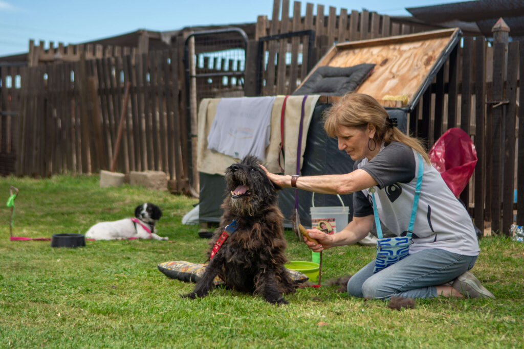 Refugio Campito charla al día de visita en Buenos Aires - Cobertura de eventos ONGs Refugio Campito charla al día de visita en Buenos Aires - Cobertura de eventos ONGs