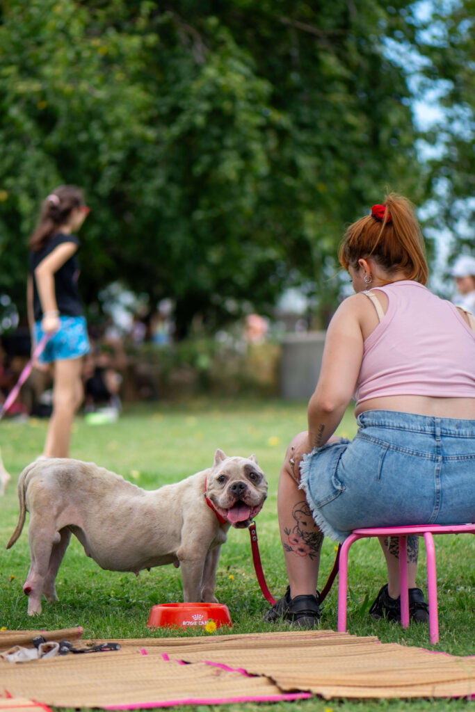 Experiencia de voluntariodo por un día en Refugio para Perros en Argentina Experiencia de voluntariodo por un día en Refugio para Perros en Argentina