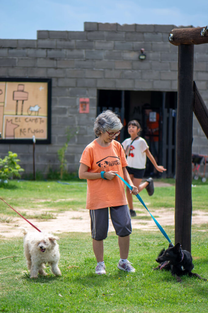 Experiencia de voluntariodo por un día en Refugio para Perros en Argentina Experiencia de voluntariodo por un día en Refugio para Perros en Argentina