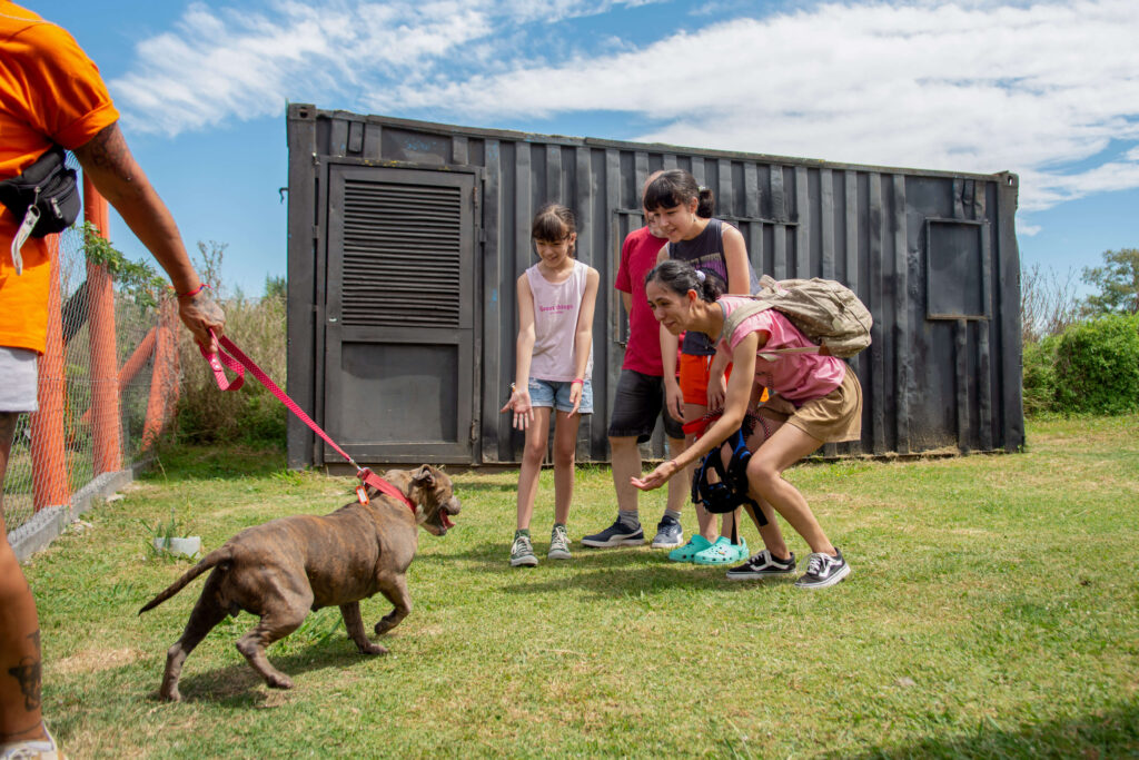 Fotografía de adopción en vivo en refugio para perros registrado por equipo profesional de Agencia de Marketing Digital Fotografía de adopción en vivo en refugio para perros registrado por equipo profesional de Agencia de Marketing Digital