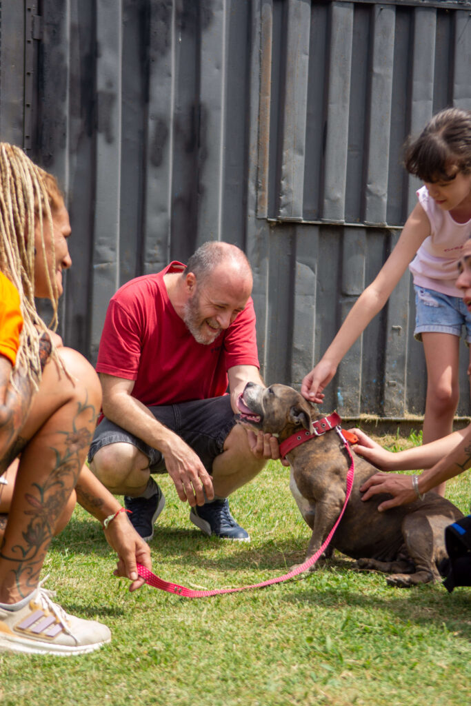 Fotografía de adopción en vivo en refugio para perros registrado por equipo profesional de Agencia de Marketing Digital Fotografía de adopción en vivo en refugio para perros registrado por equipo profesional de Agencia de Marketing Digital