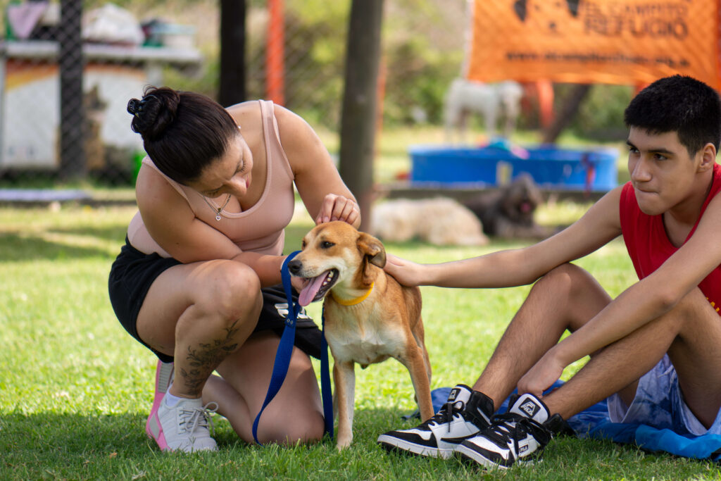 Momento de adopción en Gran Buenos Aires retratado por Productora Audiovisual Momento de adopción en Gran Buenos Aires retratado por Productora Audiovisual