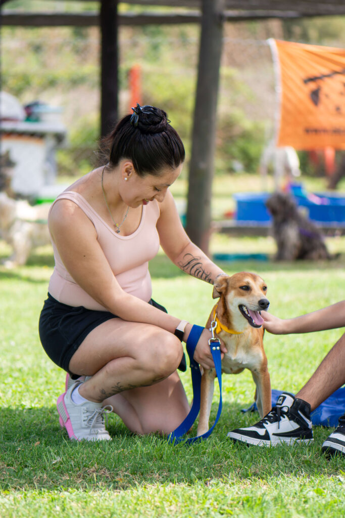 Momento de adopción en Gran Buenos Aires retratado por Productora Audiovisual Momento de adopción en Gran Buenos Aires retratado por Productora Audiovisual