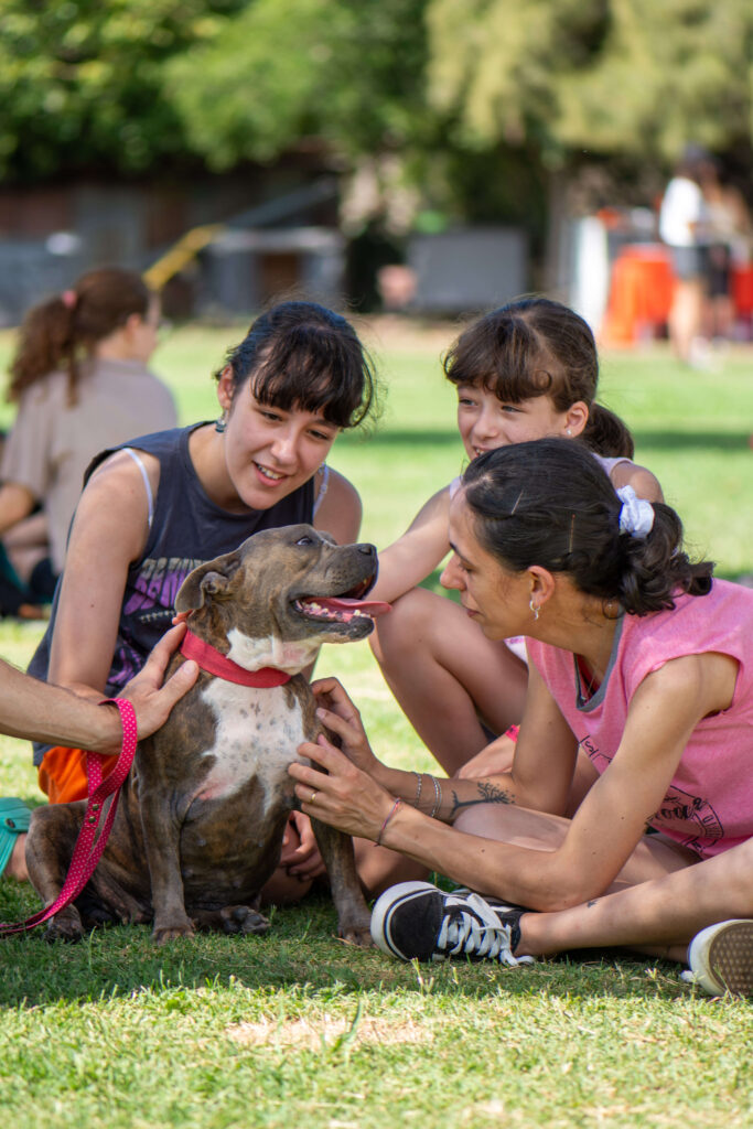Fotografía de adopción en vivo en refugio para perros registrado por equipo profesional de Agencia de Marketing Digital Fotografía de adopción en vivo en refugio para perros registrado por equipo profesional de Agencia de Marketing Digital