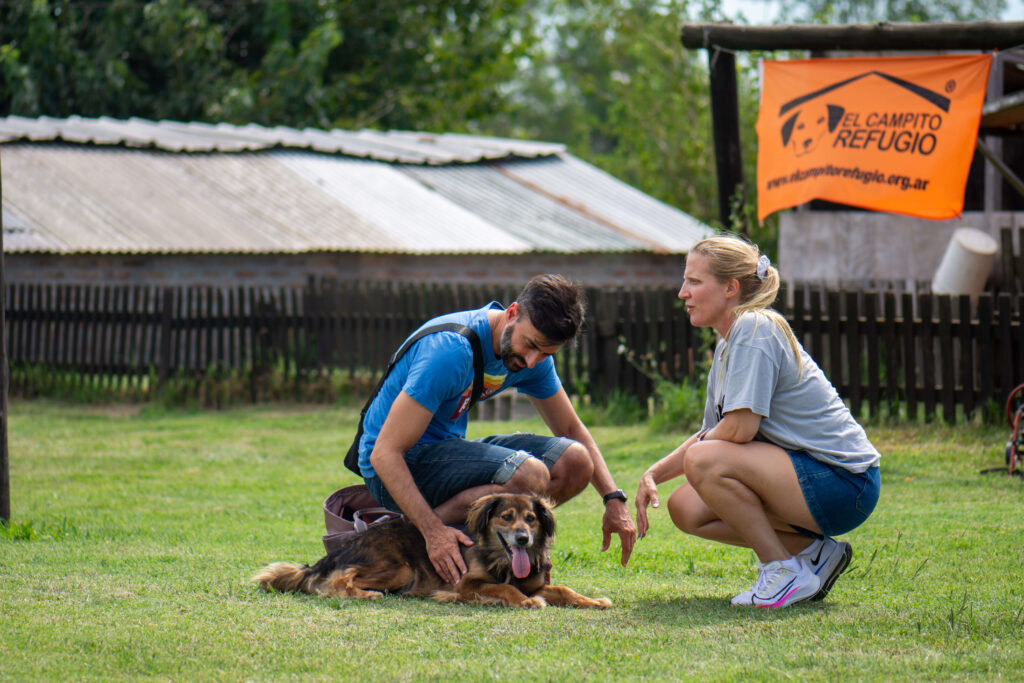 Fotografías profesionales a ONG El Campito Refugio en dia de visita Fotografías profesionales a ONG El Campito Refugio en dia de visita