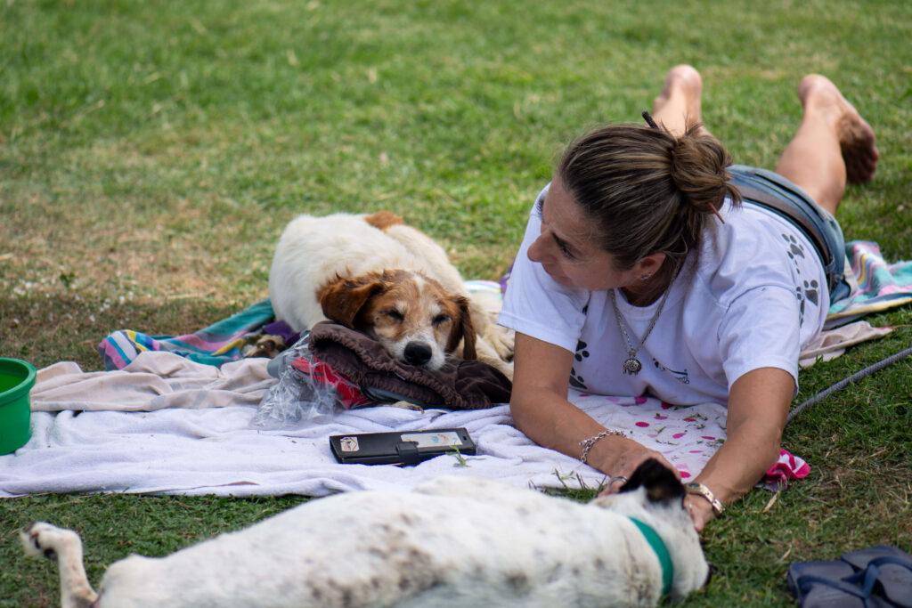 Fotografías profesionales a ONG El Campito Refugio en dia de visita Fotografías profesionales a ONG El Campito Refugio en dia de visita
