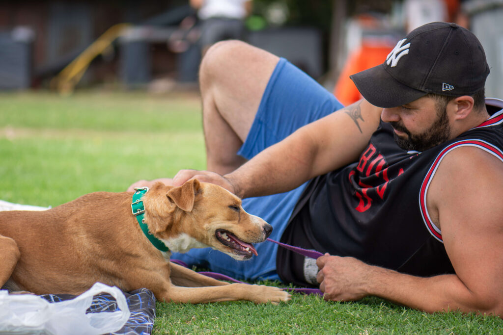 Fotografías profesionales a ONG El Campito Refugio en dia de visita Fotografías profesionales a ONG El Campito Refugio en dia de visita